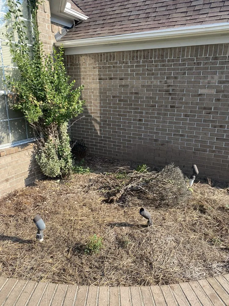 Trusted yard cleanup service for year-round maintenance across Horn Lake, MS - Maximum services