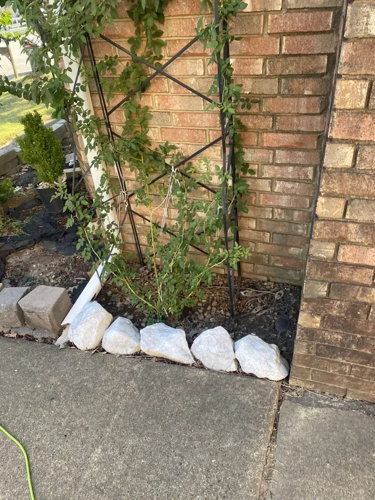 Custom yard maintenance for residential properties in Horn Lake, MS by Maximum services