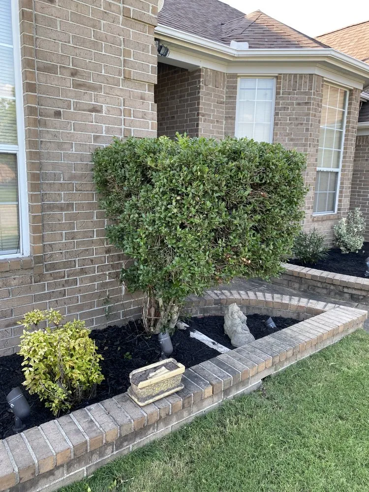 Local lawn care service experts serving Horn Lake, MS - Maximum services