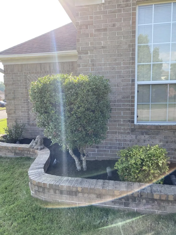 Trusted residential landscaping for residential properties across Horn Lake, MS - Maximum services