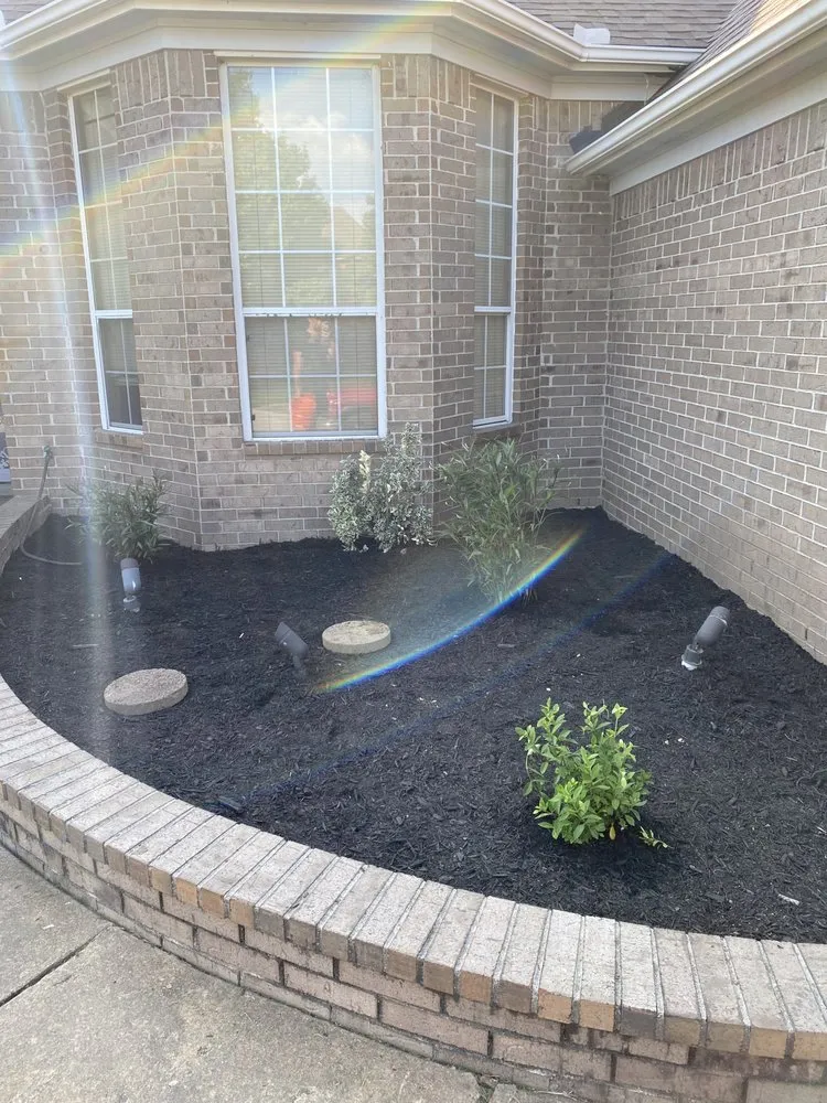 Custom yard cleanup service in Horn Lake, MS - Maximum services