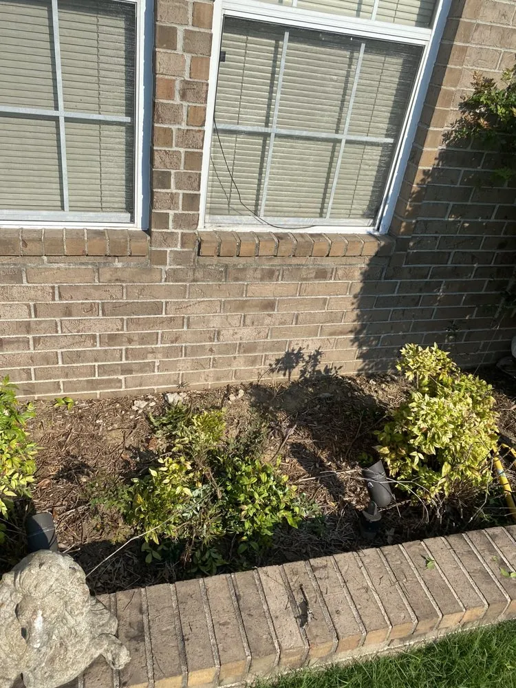 Professional landscape design with custom design across Horn Lake, MS - Maximum services