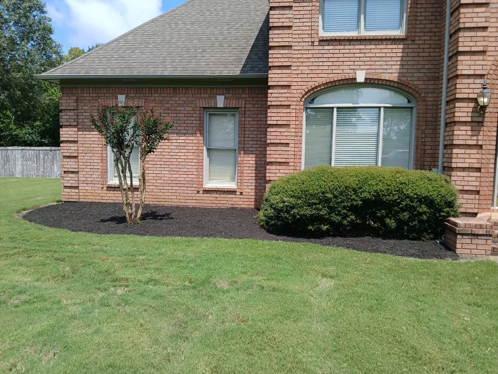 Reliable lawn care service for residential properties across Horn Lake, MS - Maximum services