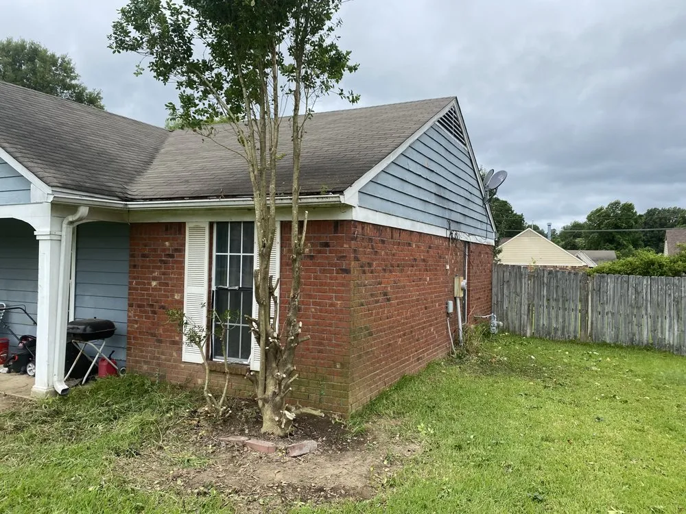 Top-rated lawn care service in Horn Lake, MS by Maximum services