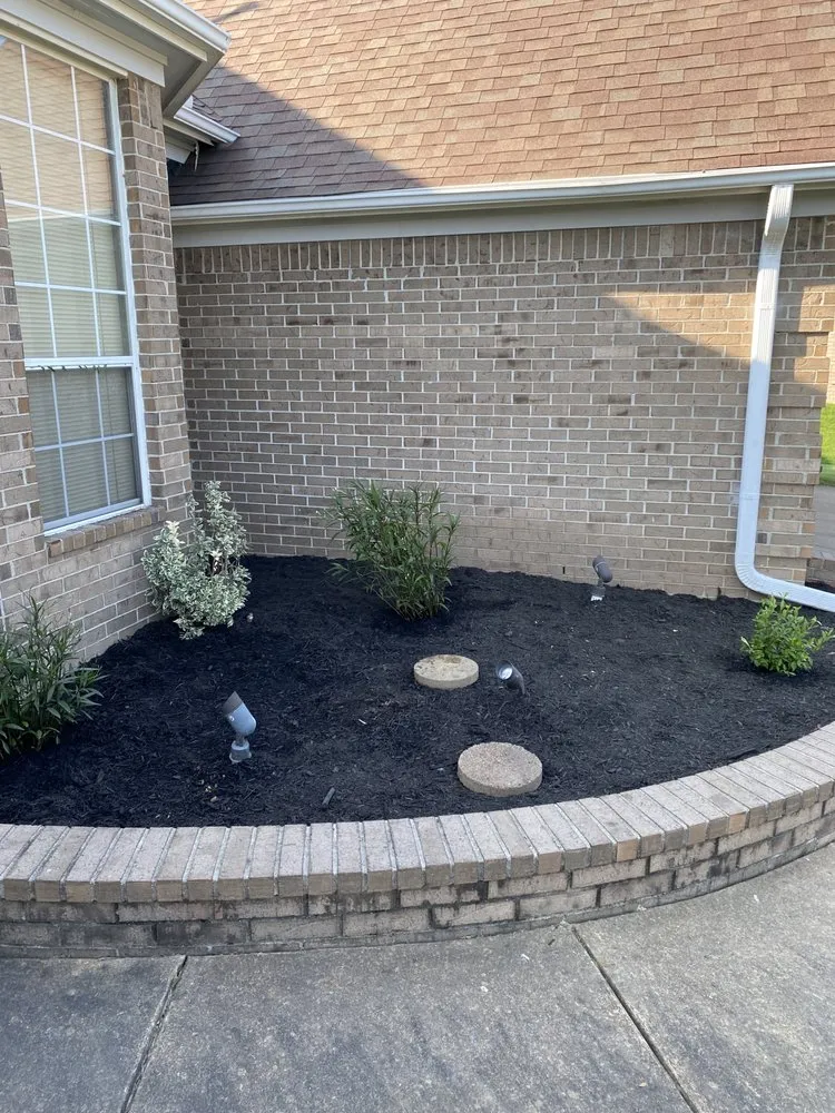 Professional garden landscaping experts serving Horn Lake, MS - Maximum services