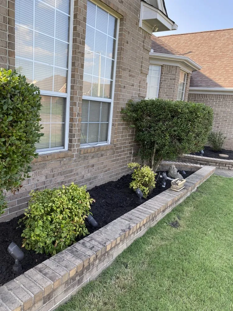 Top-rated lawn care service near you in Horn Lake, MS by Maximum services