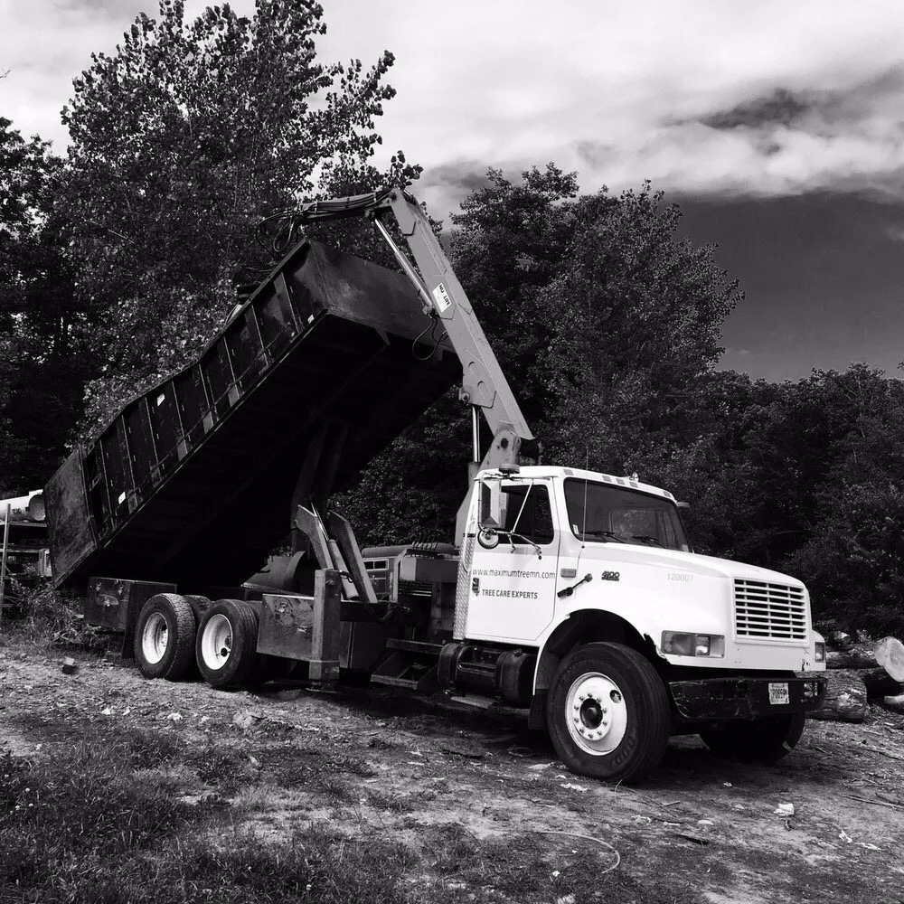 Expert yard maintenance with custom design across Plymouth mn, MN - Maximum Tree Service & Landscaping