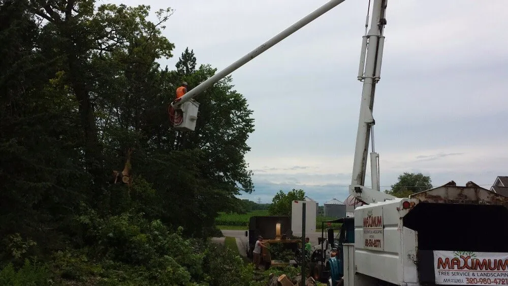 Trusted landscaping services experts serving Plymouth mn, MN - Maximum Tree Service & Landscaping
