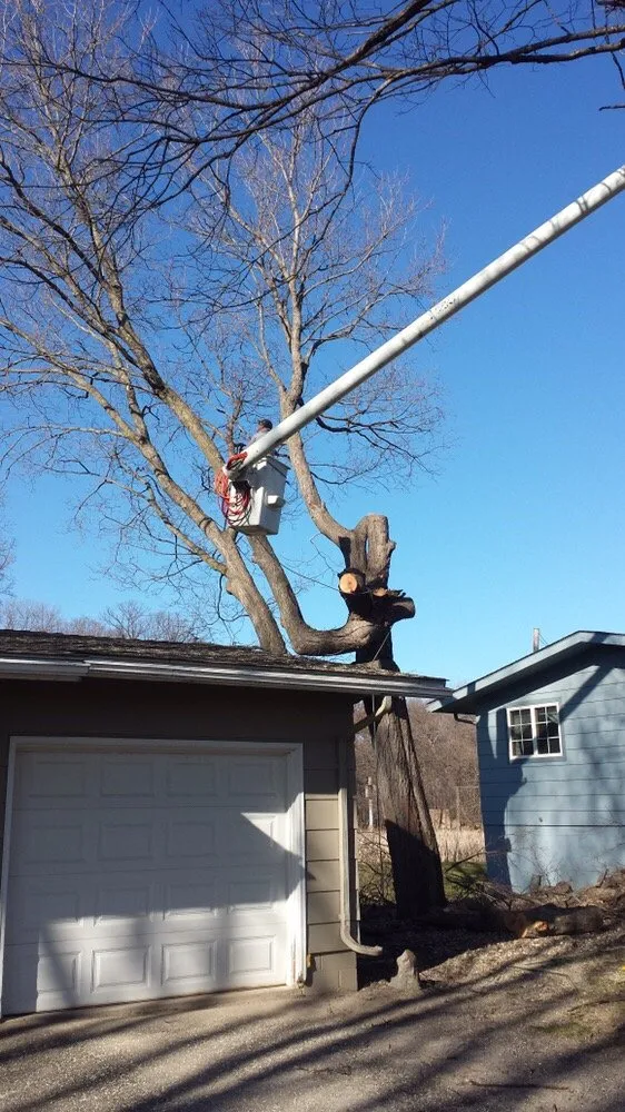 Local landscaping services for year-round maintenance across Plymouth mn, MN - Maximum Tree Service & Landscaping