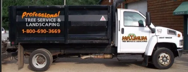 Reliable yard cleanup service experts serving Plymouth mn, MN - Maximum Tree Service & Landscaping