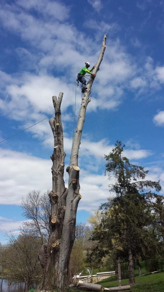 Custom lawn mowing service experts serving Plymouth mn, MN - Maximum Tree Service & Landscaping