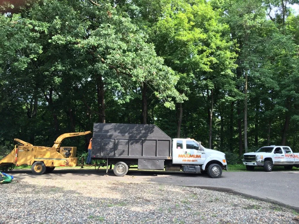 Affordable residential landscaping for outdoor upgrades in Plymouth mn, MN by Maximum Tree Service & Landscaping