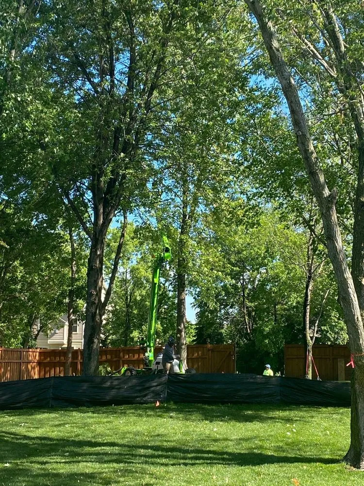 Top-rated yard cleanup service in Plymouth mn, MN - Maximum Tree Service & Landscaping
