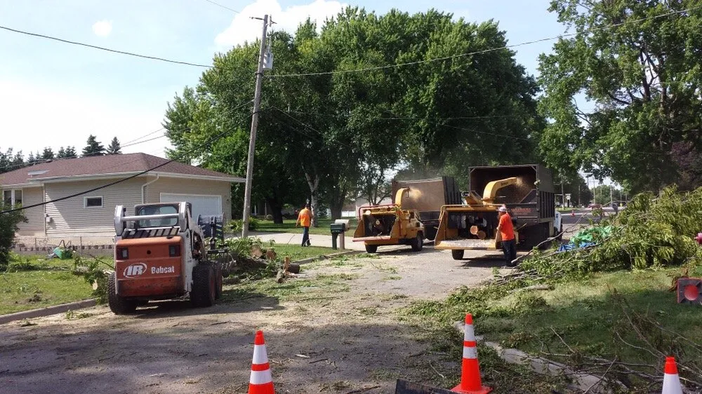 Trusted landscaping services in Plymouth mn, MN - Maximum Tree Service & Landscaping