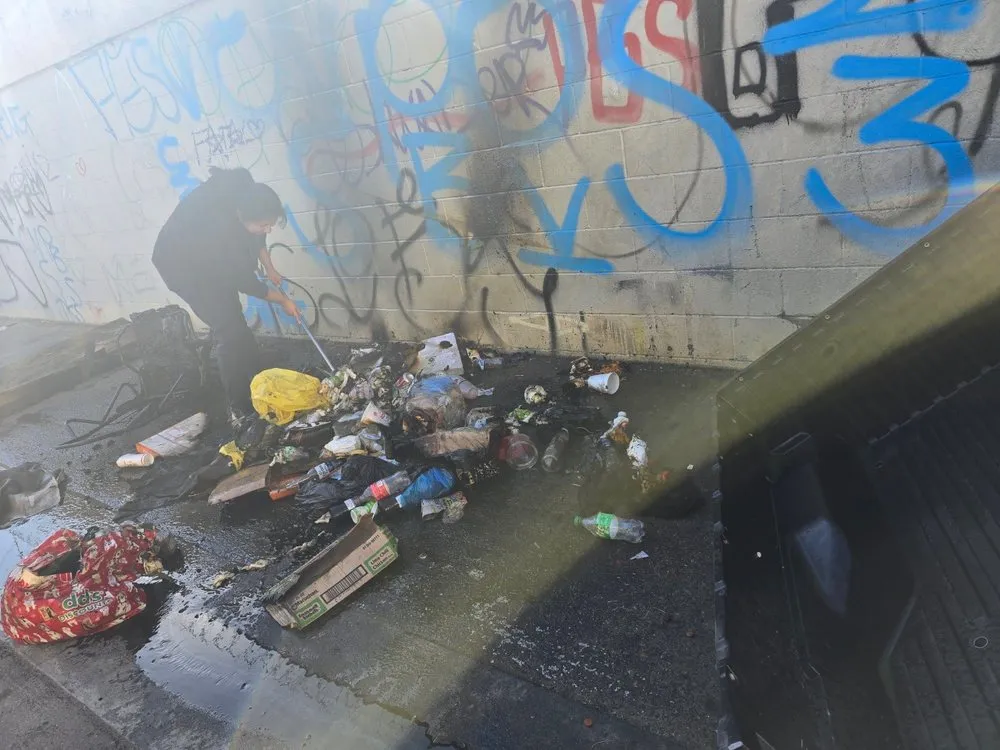 Custom yard cleanup service in Northridge, CA - Maximus Junk Removal and Garden Services