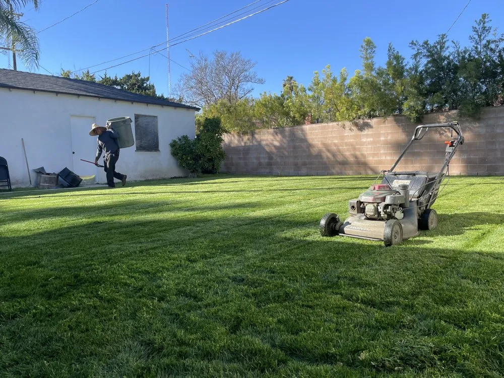 Top-rated outdoor landscaping in Northridge, CA - Maximus Junk Removal and Garden Services