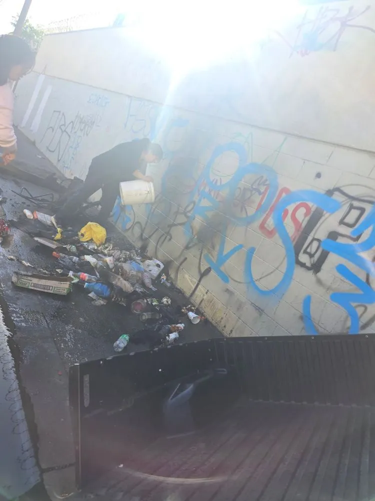 Expert landscape design near you across Northridge, CA - Maximus Junk Removal and Garden Services