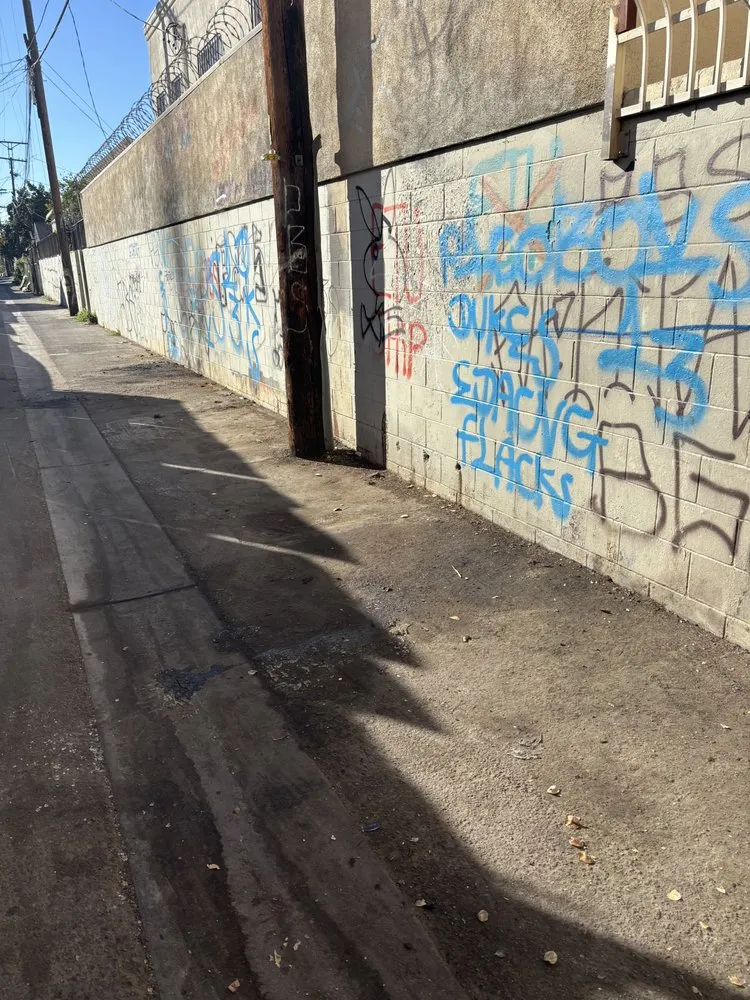 Affordable landscape design experts serving Northridge, CA - Maximus Junk Removal and Garden Services