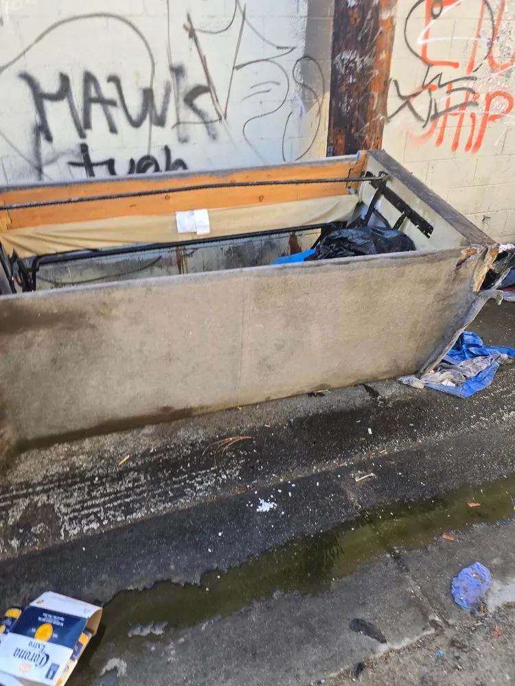 Expert lawn care service for residential properties in Northridge, CA by Maximus Junk Removal and Garden Services