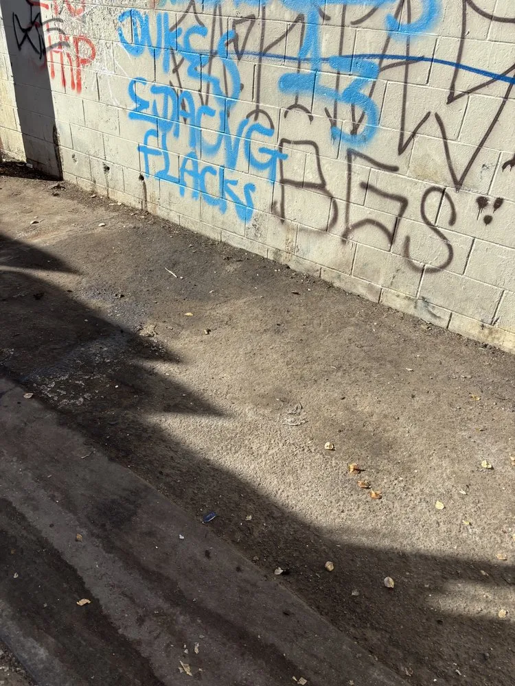 Custom lawn mowing service for homes in Northridge, CA by Maximus Junk Removal and Garden Services