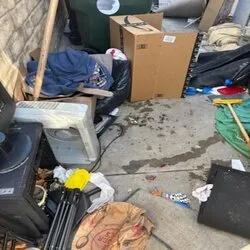 Local landscaping services in Northridge, CA - Maximus Junk Removal and Garden Services