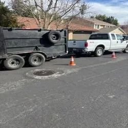 Professional landscape design in Northridge, CA - Maximus Junk Removal and Garden Services