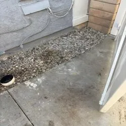 Top-rated landscape design in Northridge, CA by Maximus Junk Removal and Garden Services