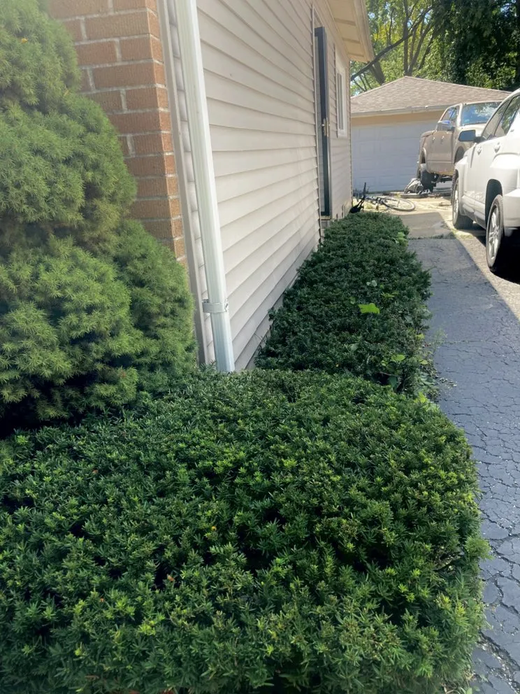 Expert residential landscaping for outdoor upgrades in Glendale Heights, IL by Maximus Lawncare