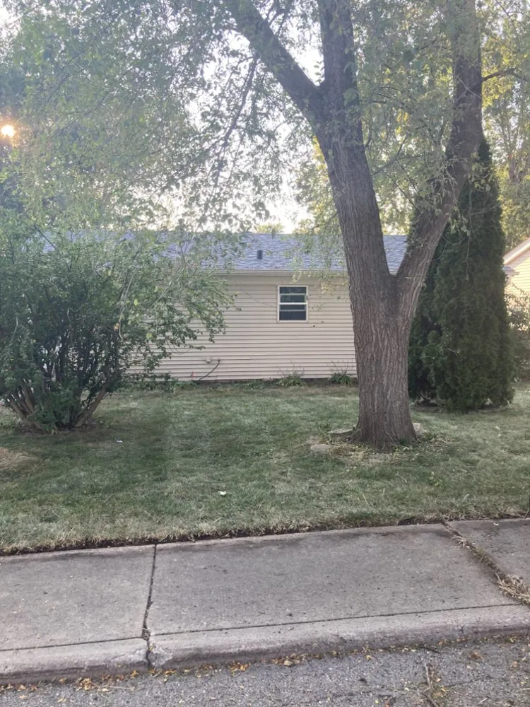 Local yard maintenance in Glendale Heights, IL - Maximus Lawncare