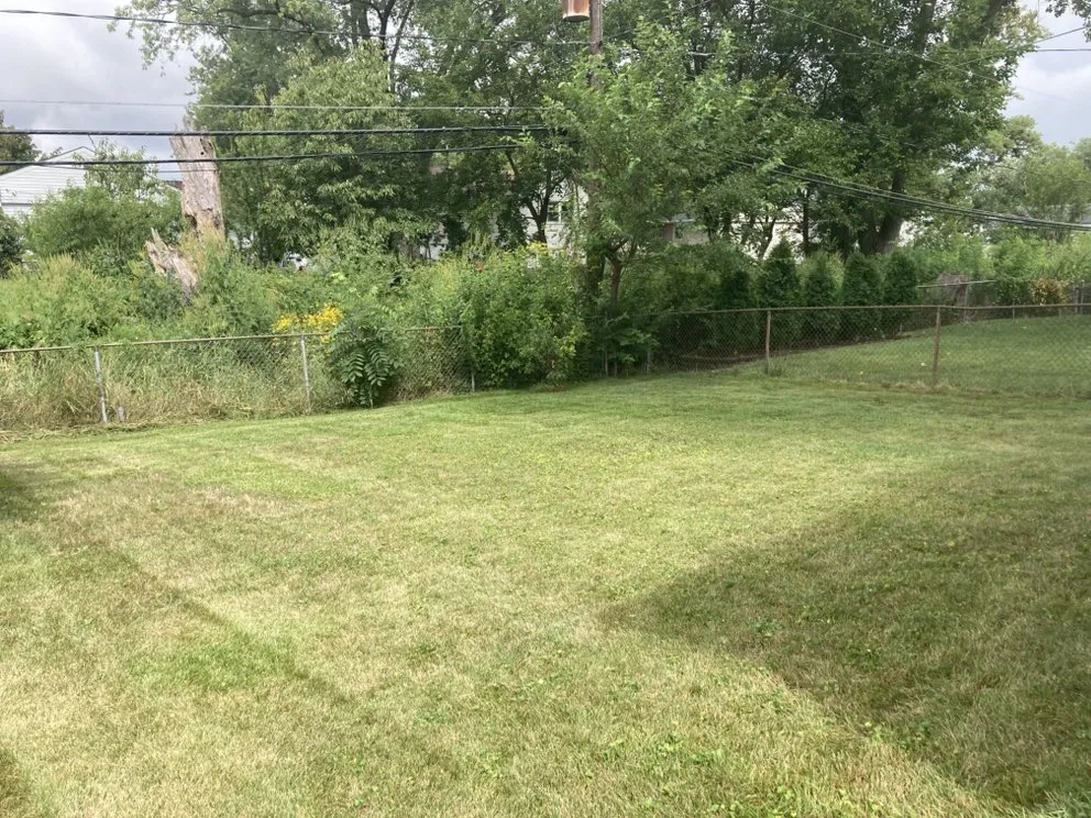 Expert yard maintenance for residential properties in Glendale Heights, IL by Maximus Lawncare