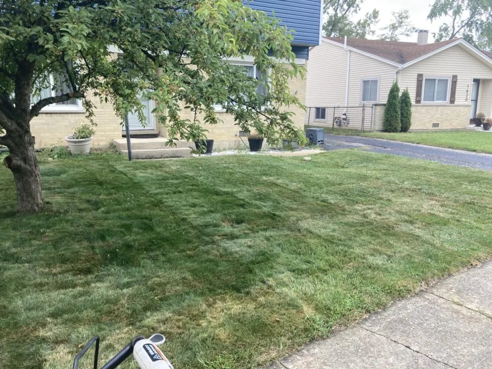 Affordable lawn care service experts serving Glendale Heights, IL - Maximus Lawncare