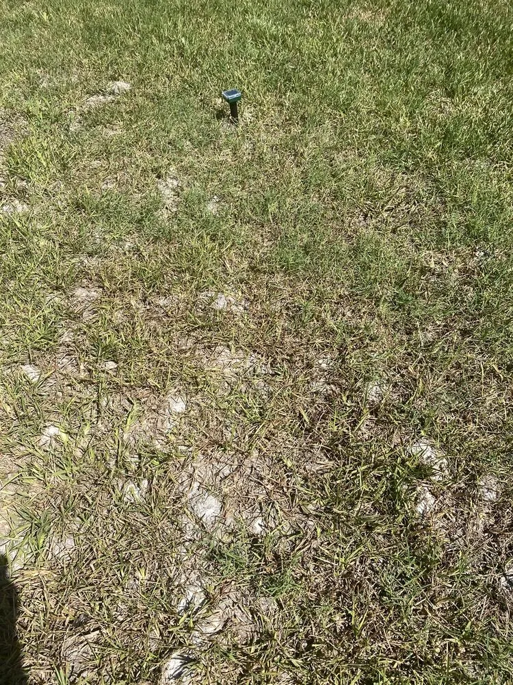 Local residential landscaping in Jacksonville, FL - Maxlawn