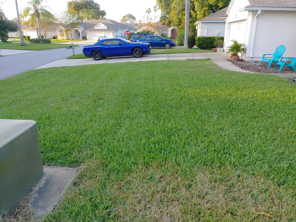 Professional yard cleanup service experts serving Jacksonville, FL - Maxlawn