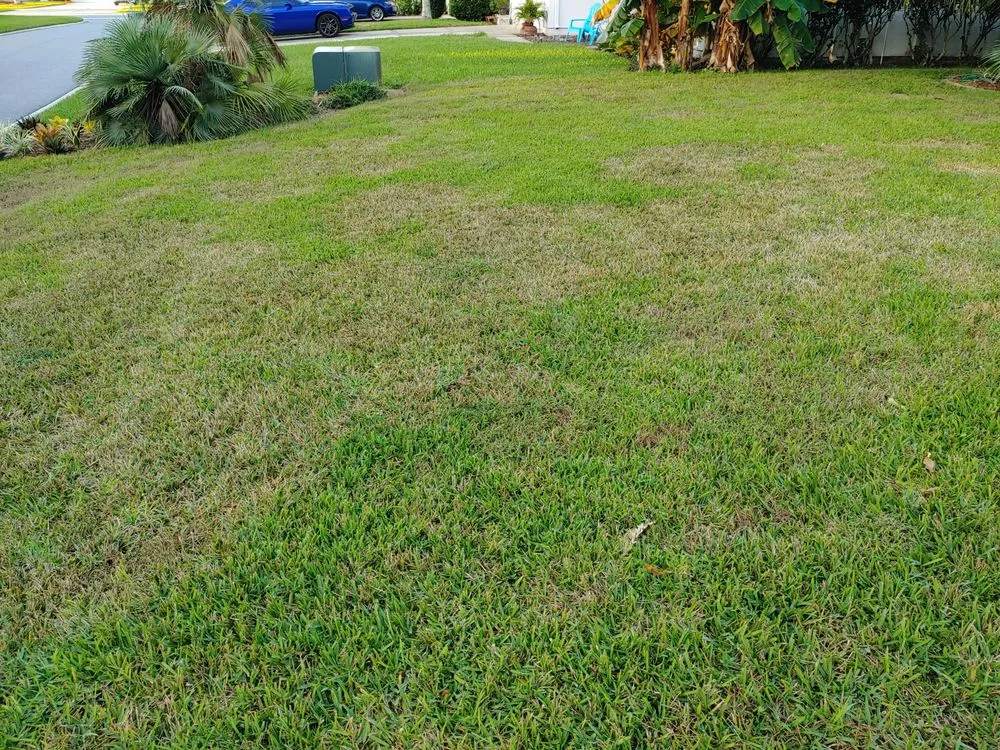 Trusted residential landscaping for homes in Jacksonville, FL by Maxlawn