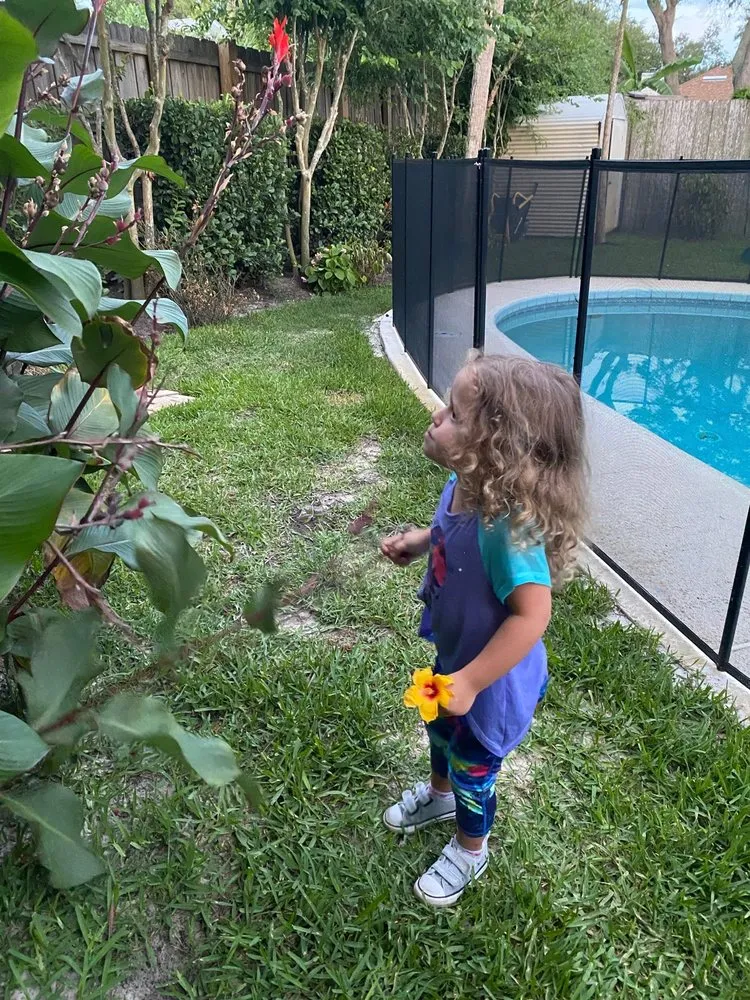 Custom landscape installation for year-round maintenance across Jacksonville, FL - Maxlawn