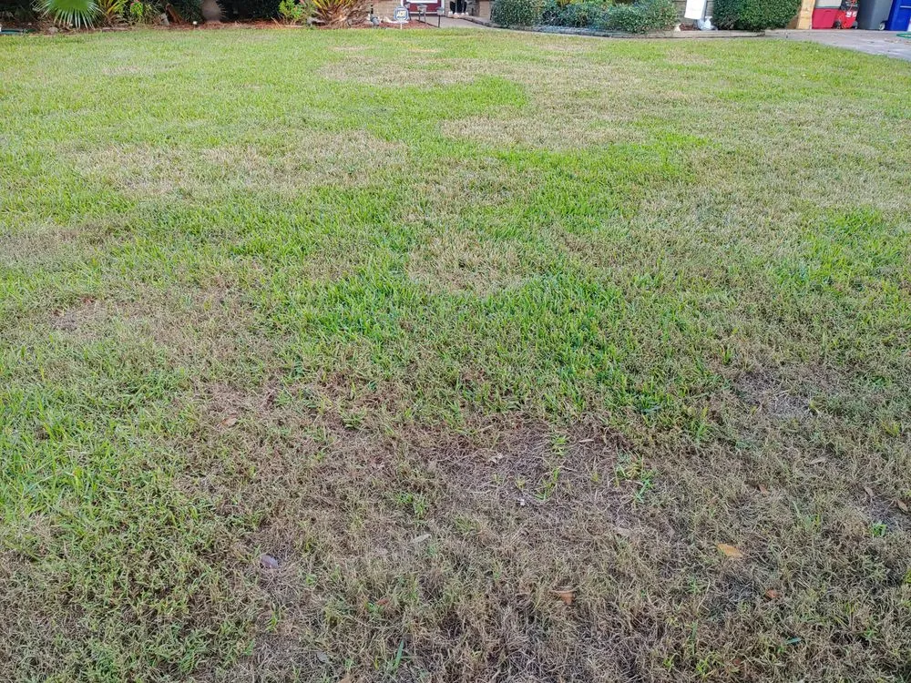 Top-rated landscape design in Jacksonville, FL - Maxlawn