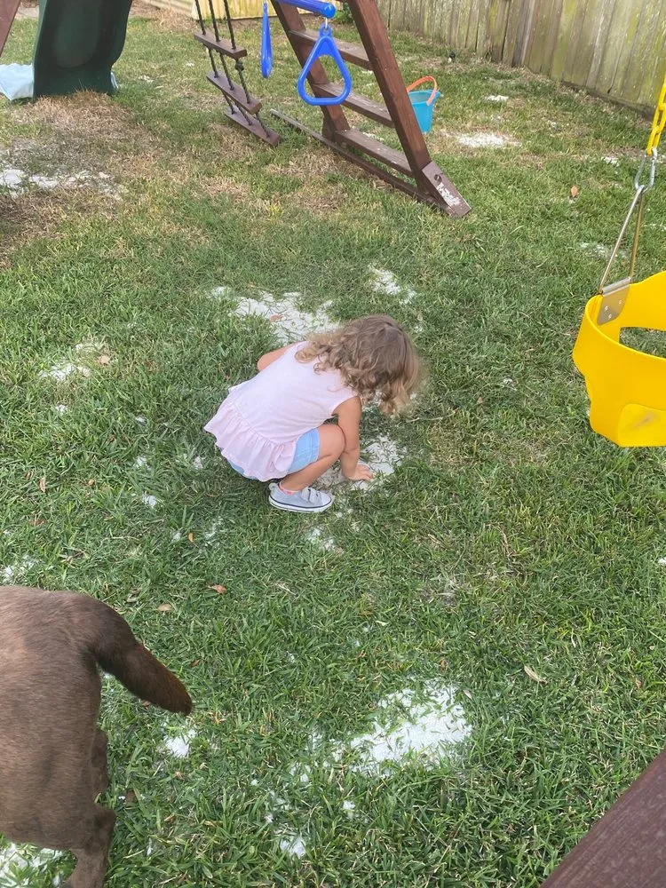 Top-rated lawn care service for outdoor upgrades in Jacksonville, FL by Maxlawn