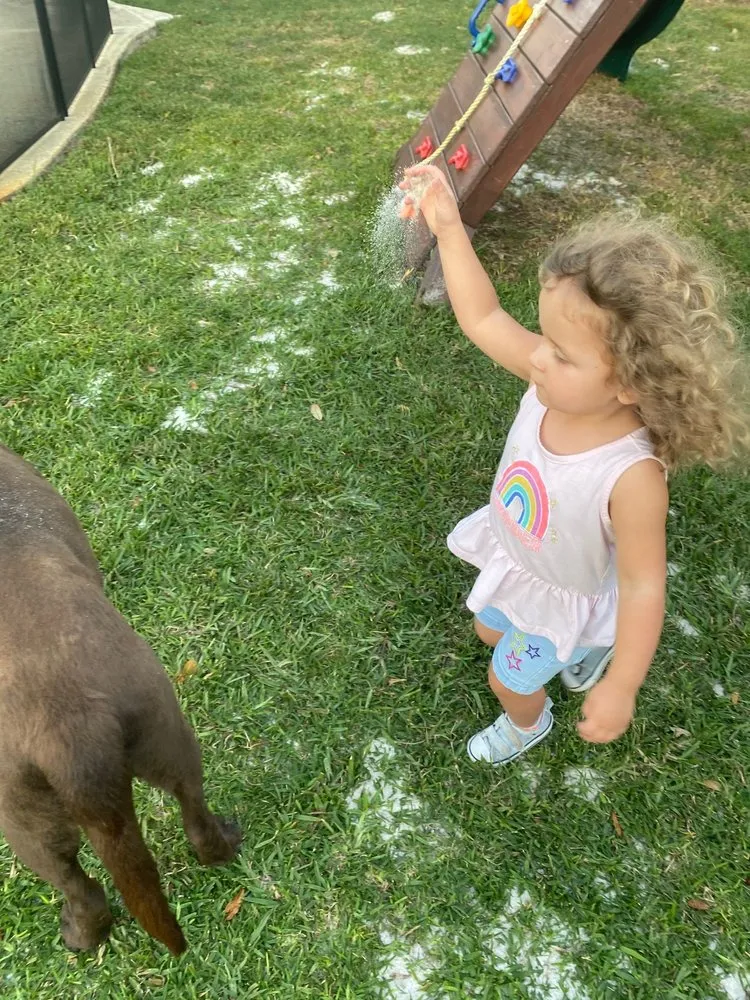 Affordable garden landscaping in Jacksonville, FL by Maxlawn