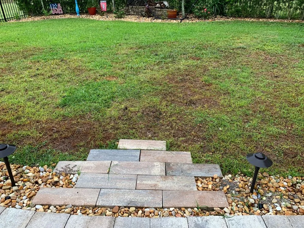 Local yard maintenance in Jacksonville, FL - Maxlawn