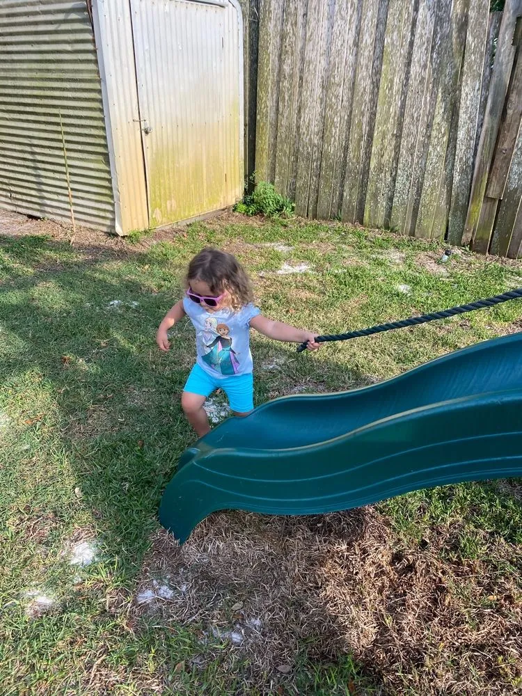 Custom outdoor landscaping in Jacksonville, FL - Maxlawn