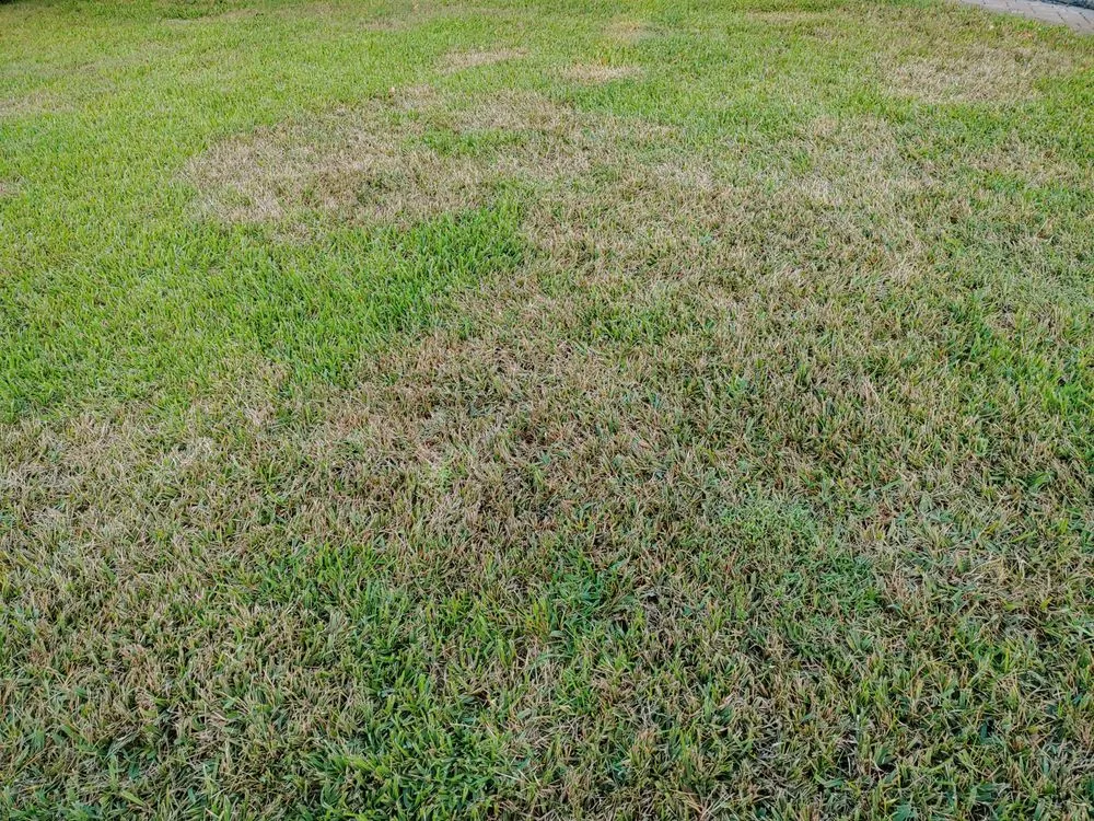 Trusted landscape design in Jacksonville, FL - Maxlawn