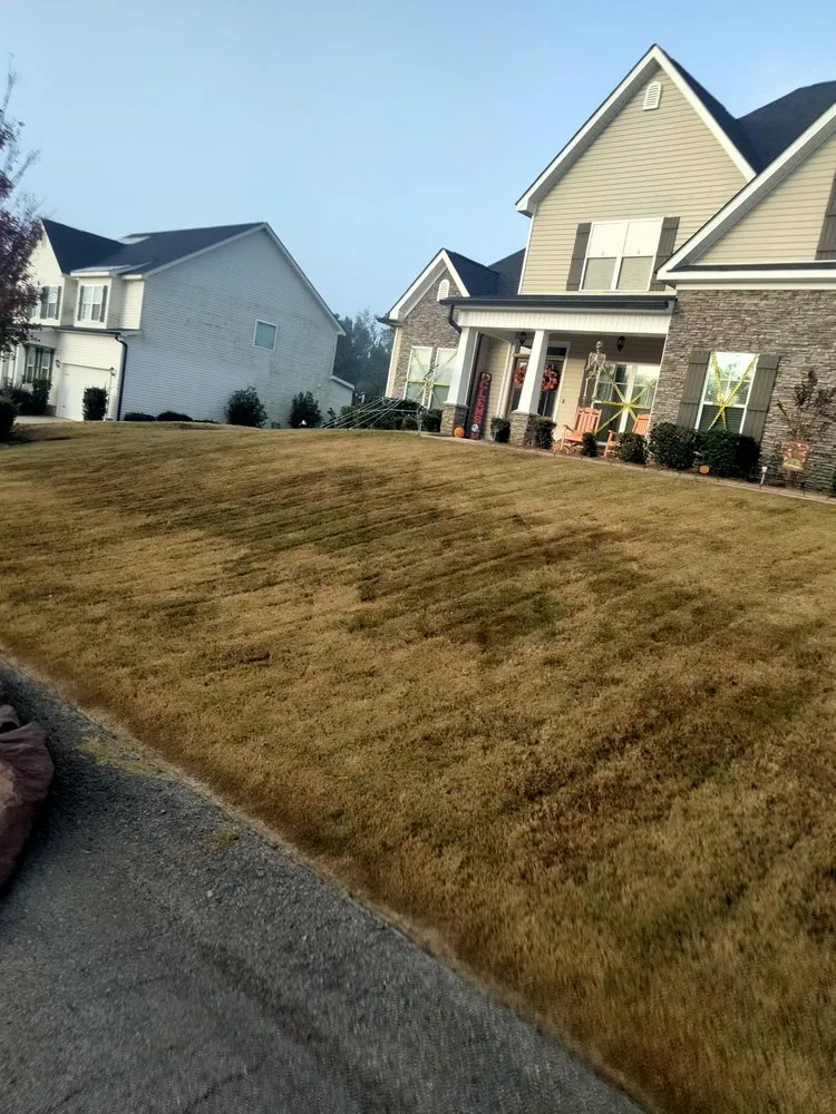 Reliable residential landscaping experts serving Grovetown, GA - Max's Landscaping and Maintenance Services