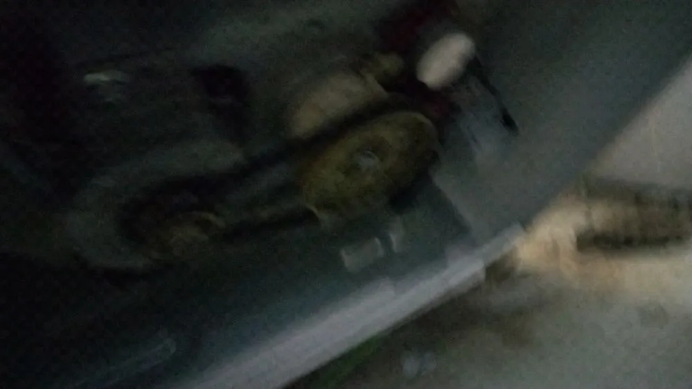 Custom garden landscaping near you in Grovetown, GA by Max's Landscaping and Maintenance Services