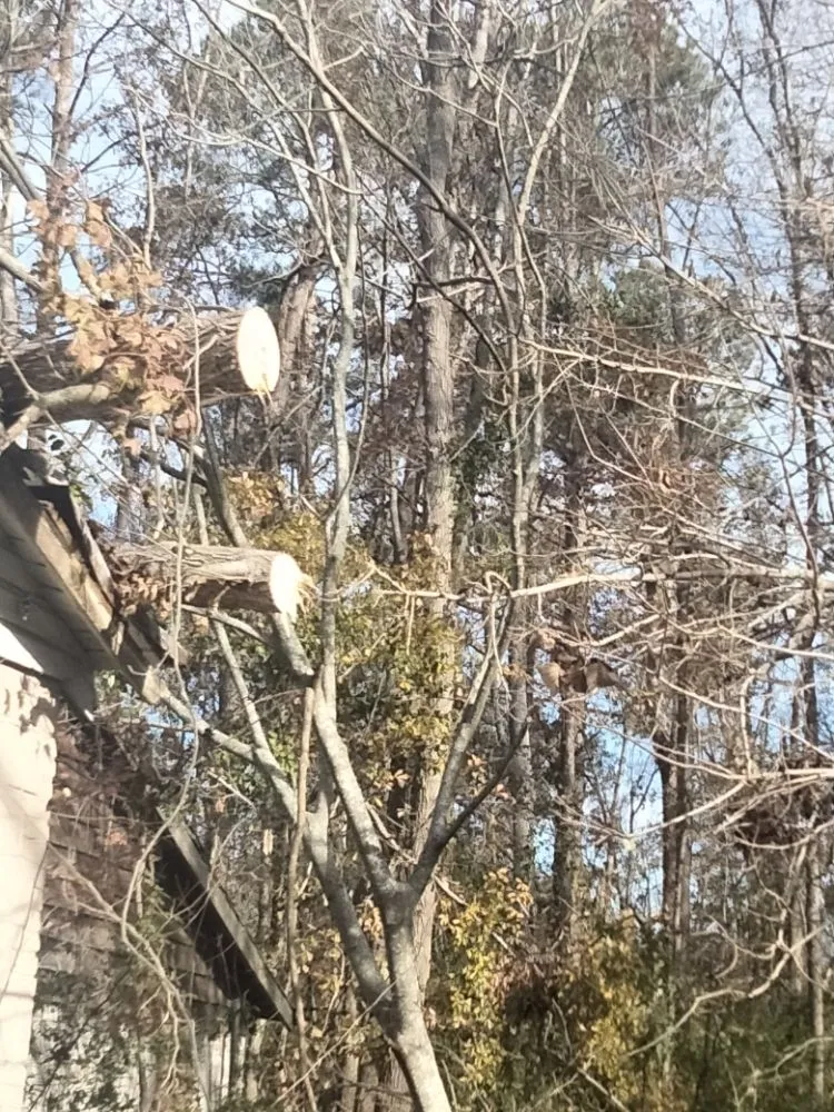 Trusted lawn care service for outdoor upgrades across Grovetown, GA - Max's Landscaping and Maintenance Services