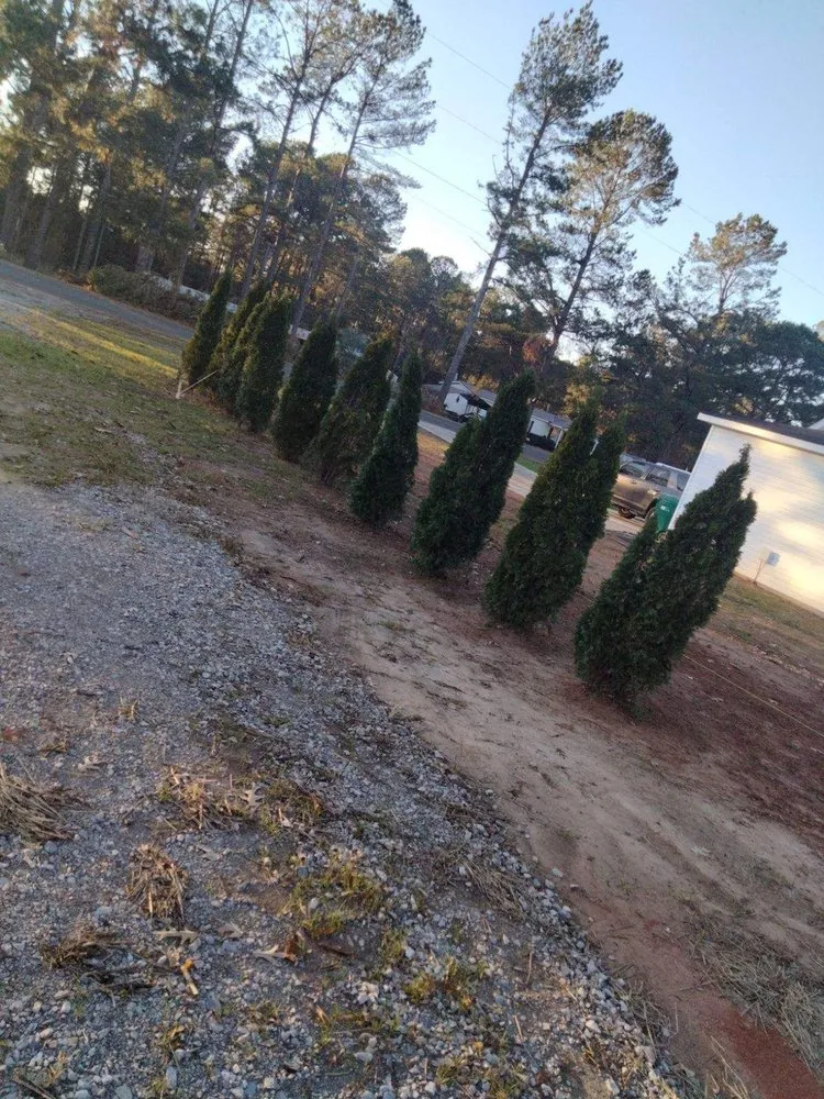 Custom yard cleanup service for homes in Grovetown, GA by Max's Landscaping and Maintenance Services