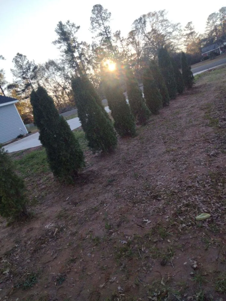 Trusted landscape installation for residential properties in Grovetown, GA by Max's Landscaping and Maintenance Services