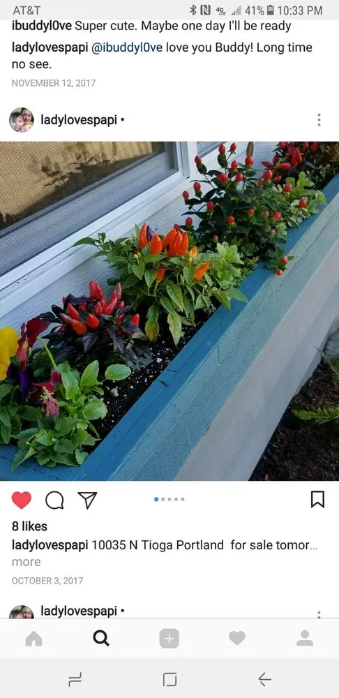 Affordable yard maintenance experts serving Cornelius, OR - Max's Landscaping Service