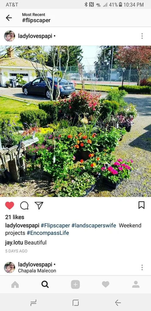 Professional outdoor landscaping experts serving Cornelius, OR - Max's Landscaping Service