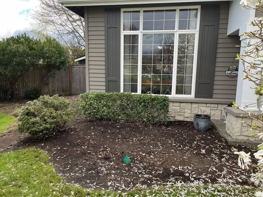 Affordable landscape installation for outdoor upgrades in Newcastle, WA by Max's Landscaping Services