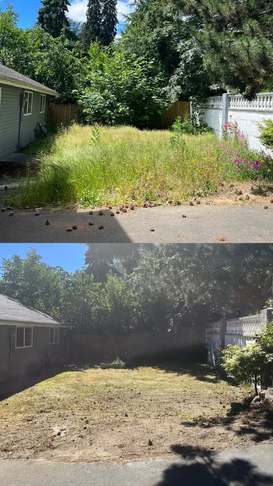 Top-rated garden landscaping for residential properties across Newcastle, WA - Max's Landscaping Services